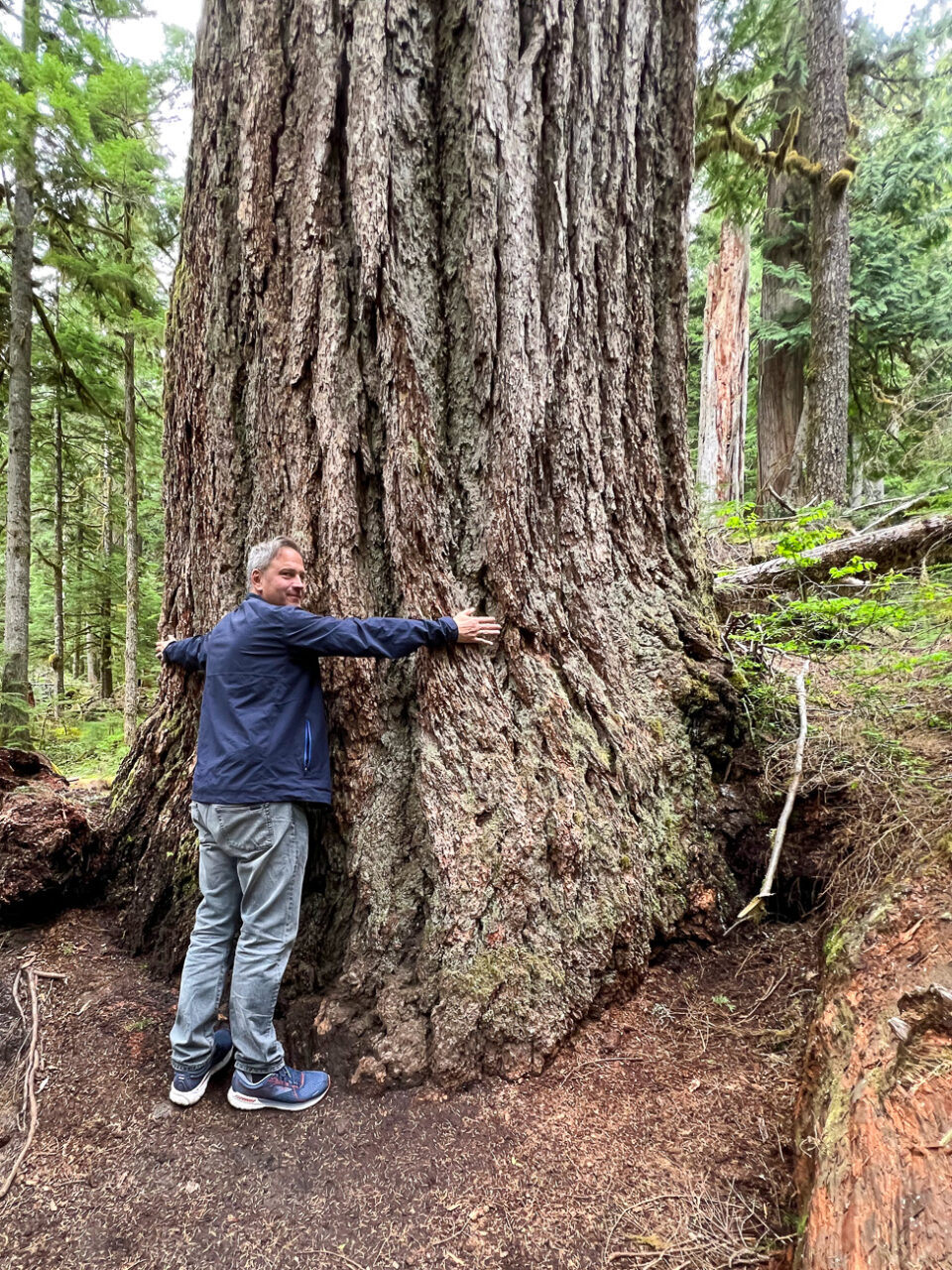 Autor Ralf umarmt einen Baumriesen im Mount Rainier National Park im US-Bundesstaat Washington