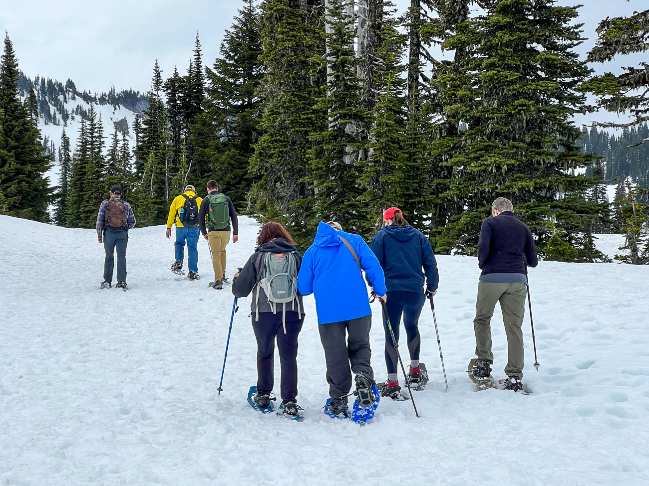 Schneeschuhwanderer im Mount Rainier National Park