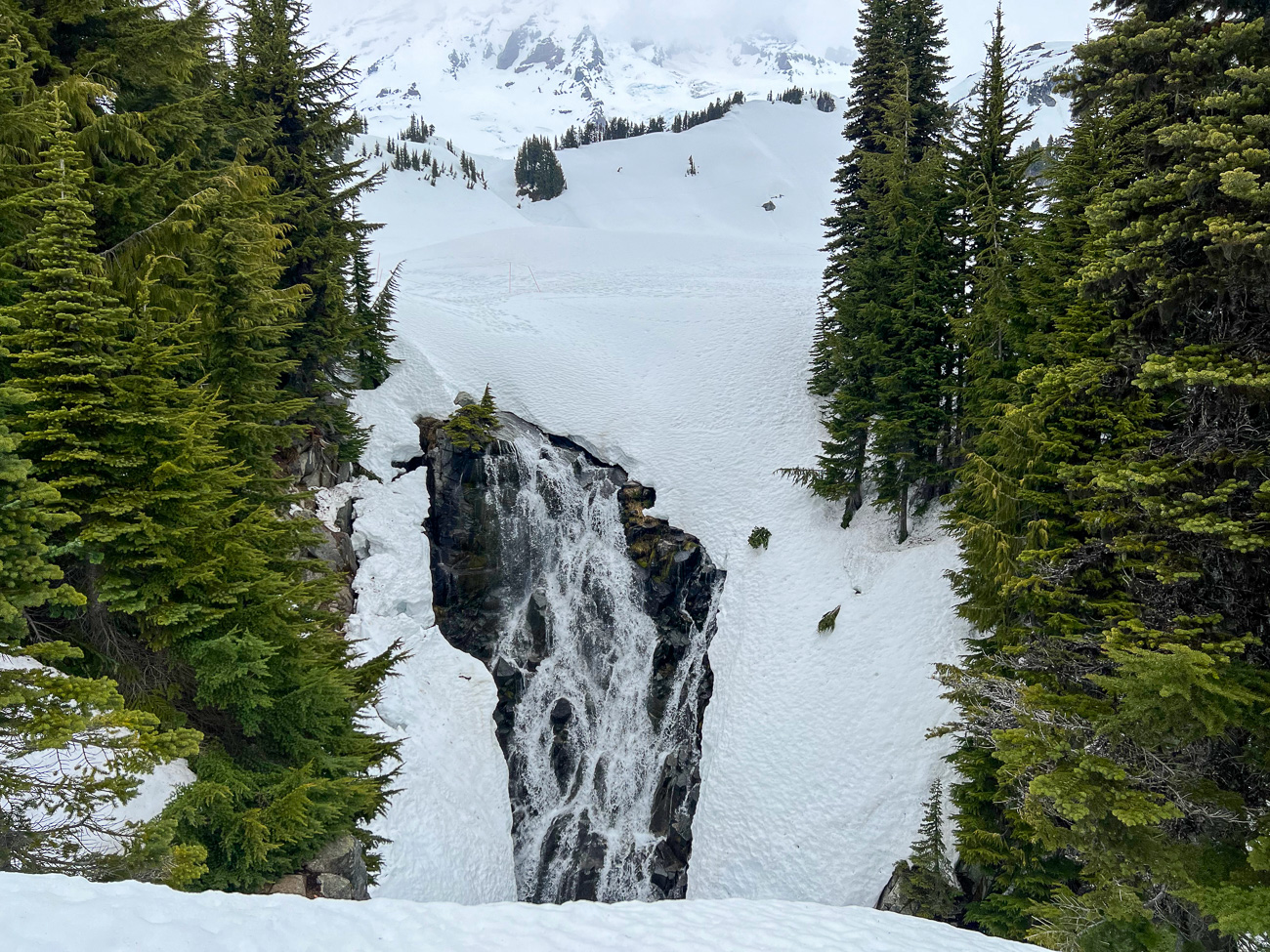 Wasserfall im Schnee umgeben von grünen Nadelbäumen im Mount Rainier National Park