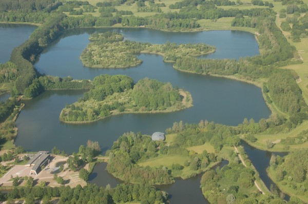Das Naturschutzgebiet Oostvaardersplassen ist eher ein Unfall: Es ist entstanden, weil der Boden zum Bauen zu sumpfig war