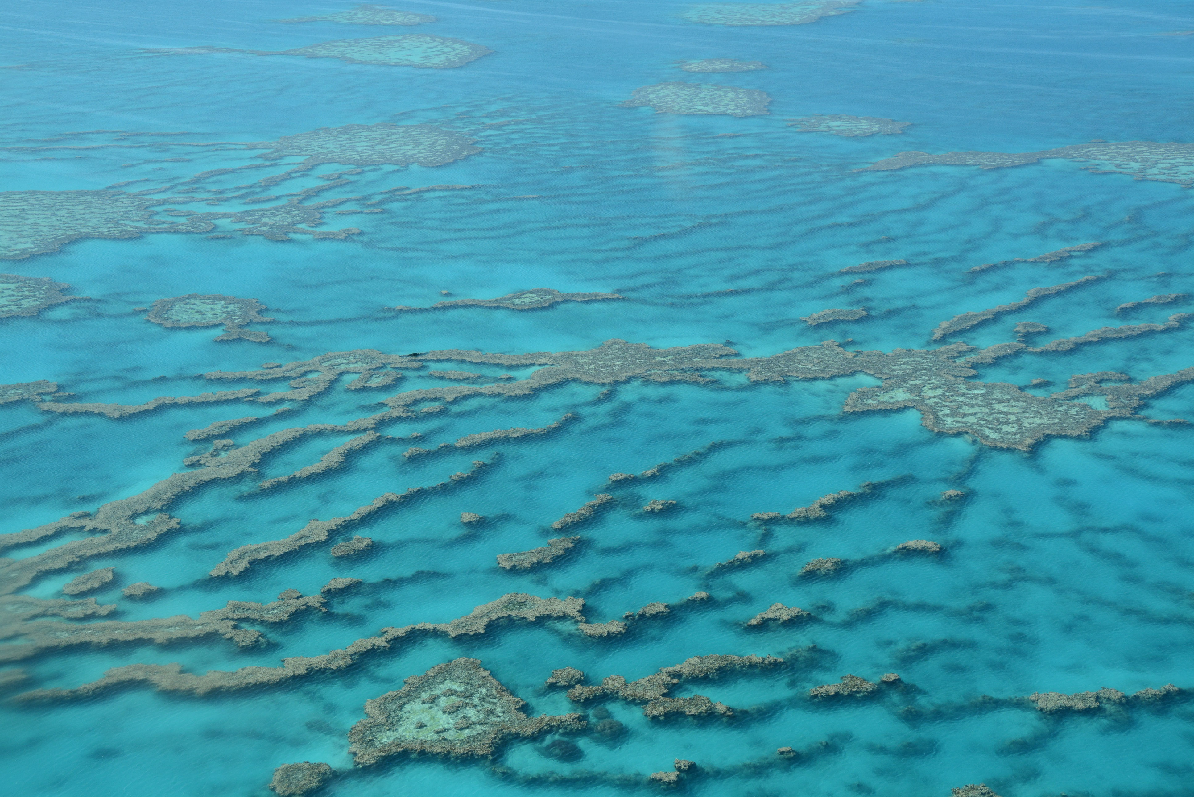Rundflug über die Whitsundays und das Great Berrier Reef