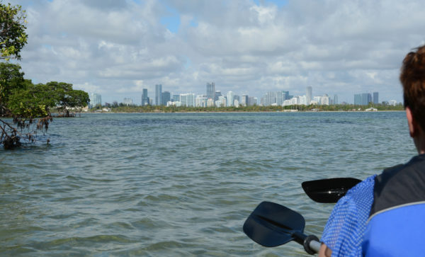 Paddeln in Miami mit Blick auf die Skyline
