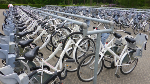 Flotte kostenloser weißer Fahrräder im Nationalpark Hoge Veluwe
