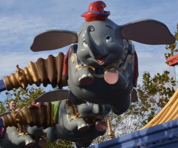 Themenparks in Florida versprechen Spaß für die ganze Familie. Hier: erwachsener Mann im Dumbo.Karussel