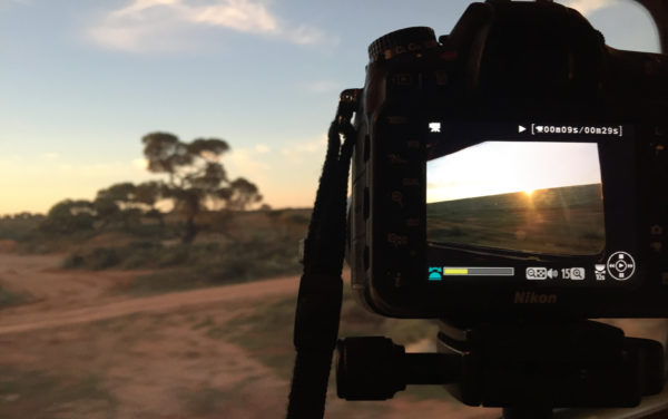 Blick durch die Kamera auf die Landschaft in Australien