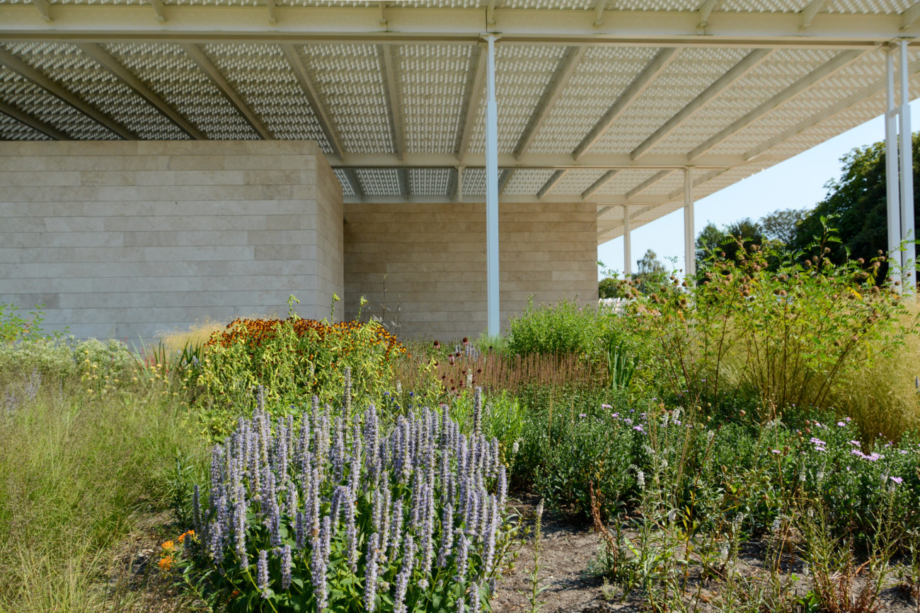 Außengelände des Baus von Dirk Jan Postels mit Lavendel und anderen Gewächsen