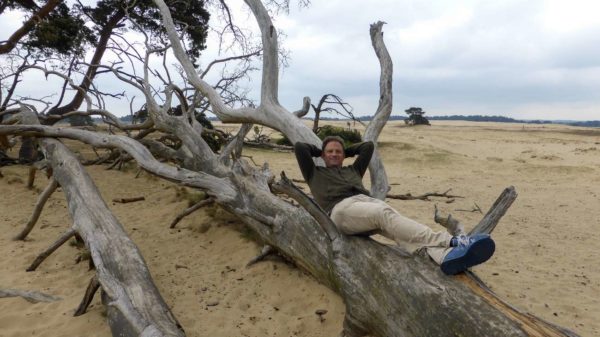 Blogger Ralf Johnen ruht sich auf einem toten Baumstamm im Nationalpark Hoge Veluwe aus