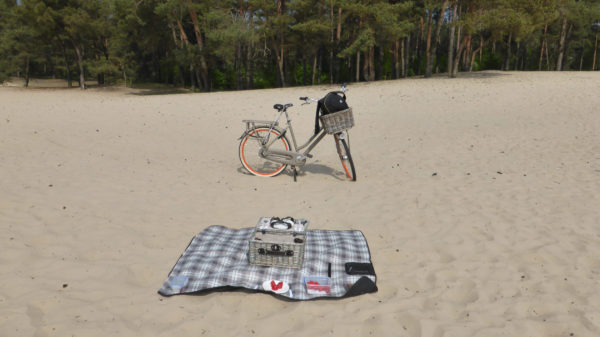 Picknick mit Decke und Fahrrad in der niderländischen Provinz Overijssel