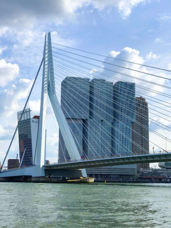 Die Erasmusbrücke in Rotterdam mit dem Nhow Hotel von Rem Koolhaas mit Blick aus dem Wassertaxi von der Maas