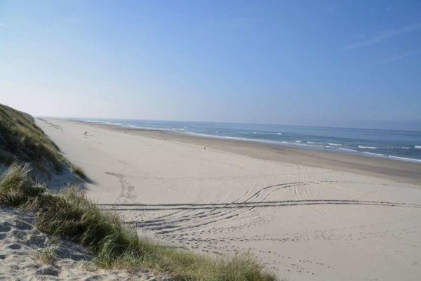 Strand und Dünen mit Nordsee im niederländischen Wattenmeer