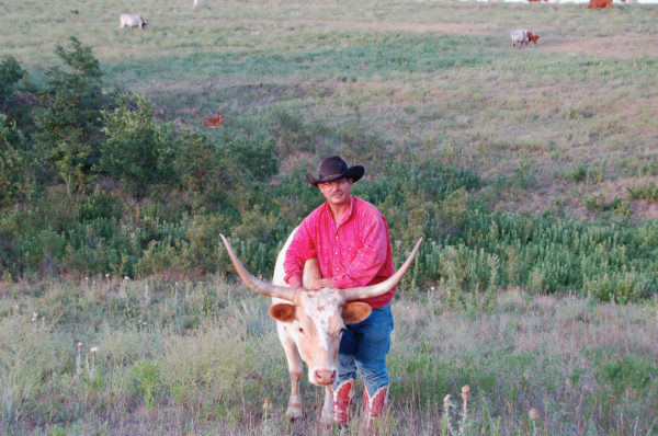 Cowboy Bill Moore mit einem Longhonr-Rind auf seiner Ranch in Kansas