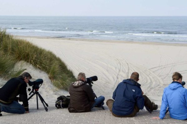 Fotografen halten Ausschau nach Robben oder Walen auf der niederländischen Nordseeinsel Vlieland