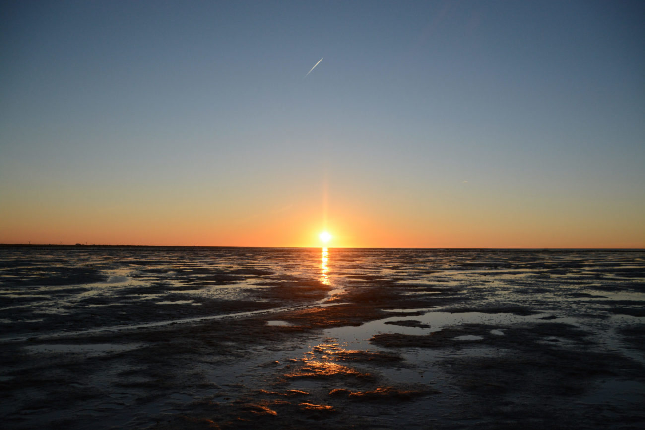Herrlicher Sonnenuntergang mit Chemtrails eines Flugzeuges bei einer Wattwanderung in Holland