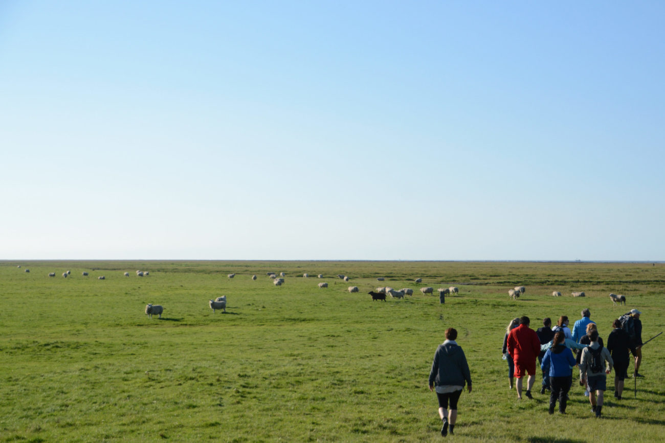 Blick von der Deichkrone in Noordpolderzijl auf die Ausläufer des Wattenmeers