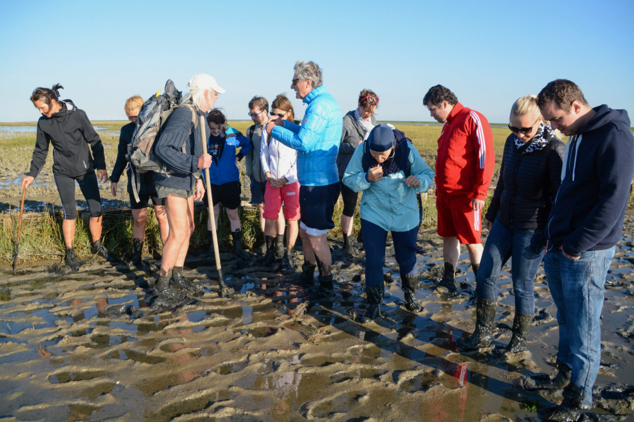 Eine Gruppe von Wanderern macht sich auf, das Wattenmeer zu erkunden