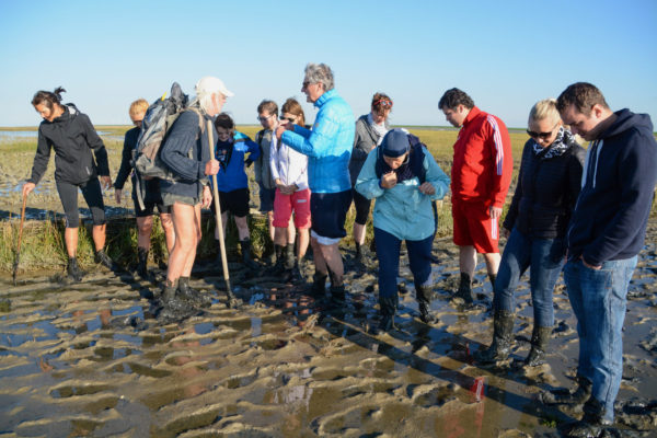 Eine Gruppe von Wanderern macht sich auf, das Wattenmeer in Holland zu erkunden