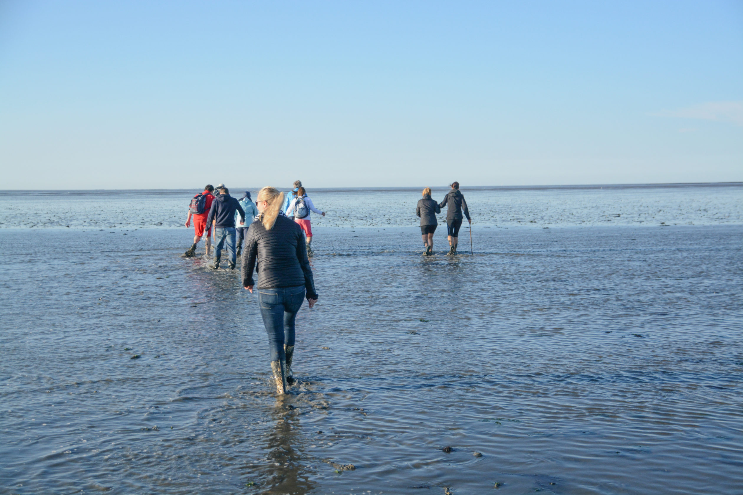 Eine Gruppe Wanderer im niederländischen Wattenmmer auf der Suche nach dem Wattwurm