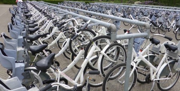 Die weißen Fahrräder sind im Nationalpark Hoge Veluwe kostenlos nutzbar