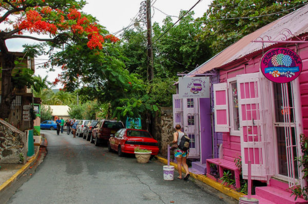 Pastellfarbene Häuser auf den BVI mit Flammenbaum