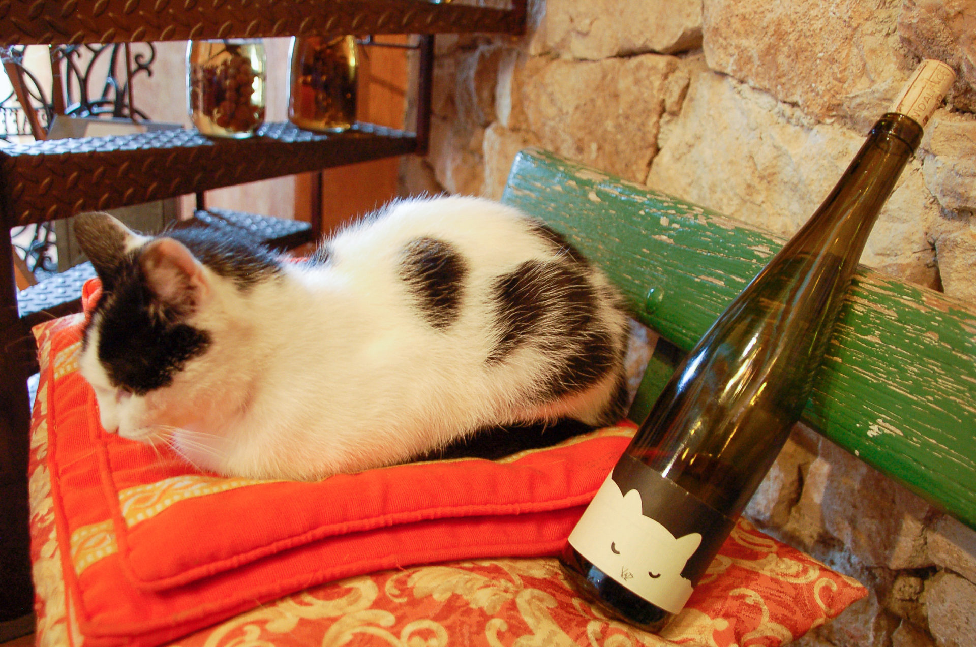 Katze mit Katzenwein in Katzenthal im Elsass