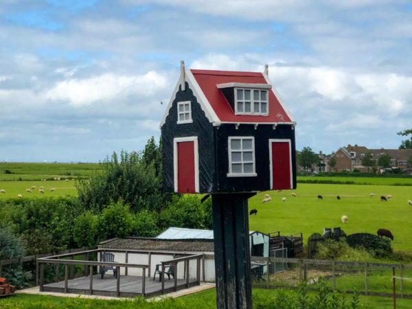 Modellhaus in einem Garten im holländischen Marken mit Kuhweide im Hintergrund