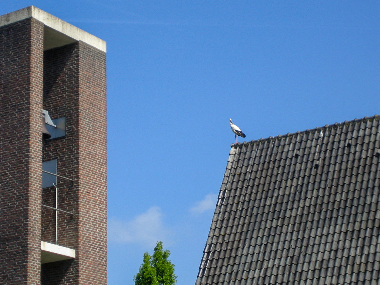 Ein Storch auf einem Hausdach in der Nähe des Ferienpark in Giethoorn