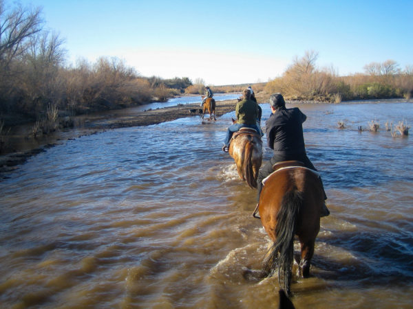 Reiter auf Pferderücken durchqueren einen Fluss in Scottsdale