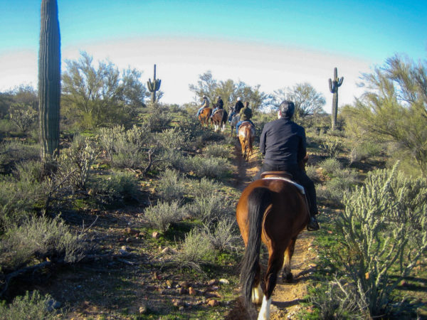 Eine Gruppe Reiter mit Saguaro-Kakteen in Arizona