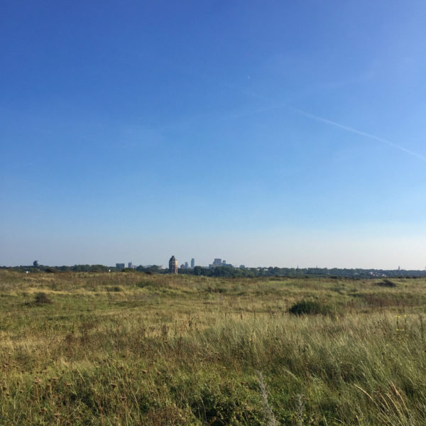 Das Dünengebiet Meijendel in Scheveningen mit Blick auf die Skyline von Den Haag
