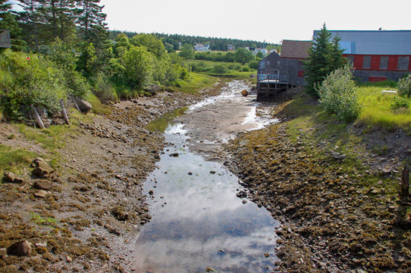 Ein Flussbett bei Ebbe in New Brunswick in Kanada