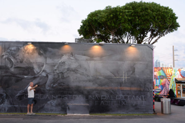 Mann macht Selfie vor Löwen-Mural in Wynwood, Miami