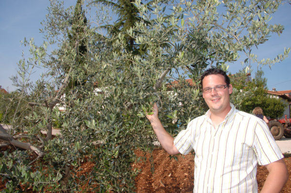 Ein Olivenölbauern in Istrien