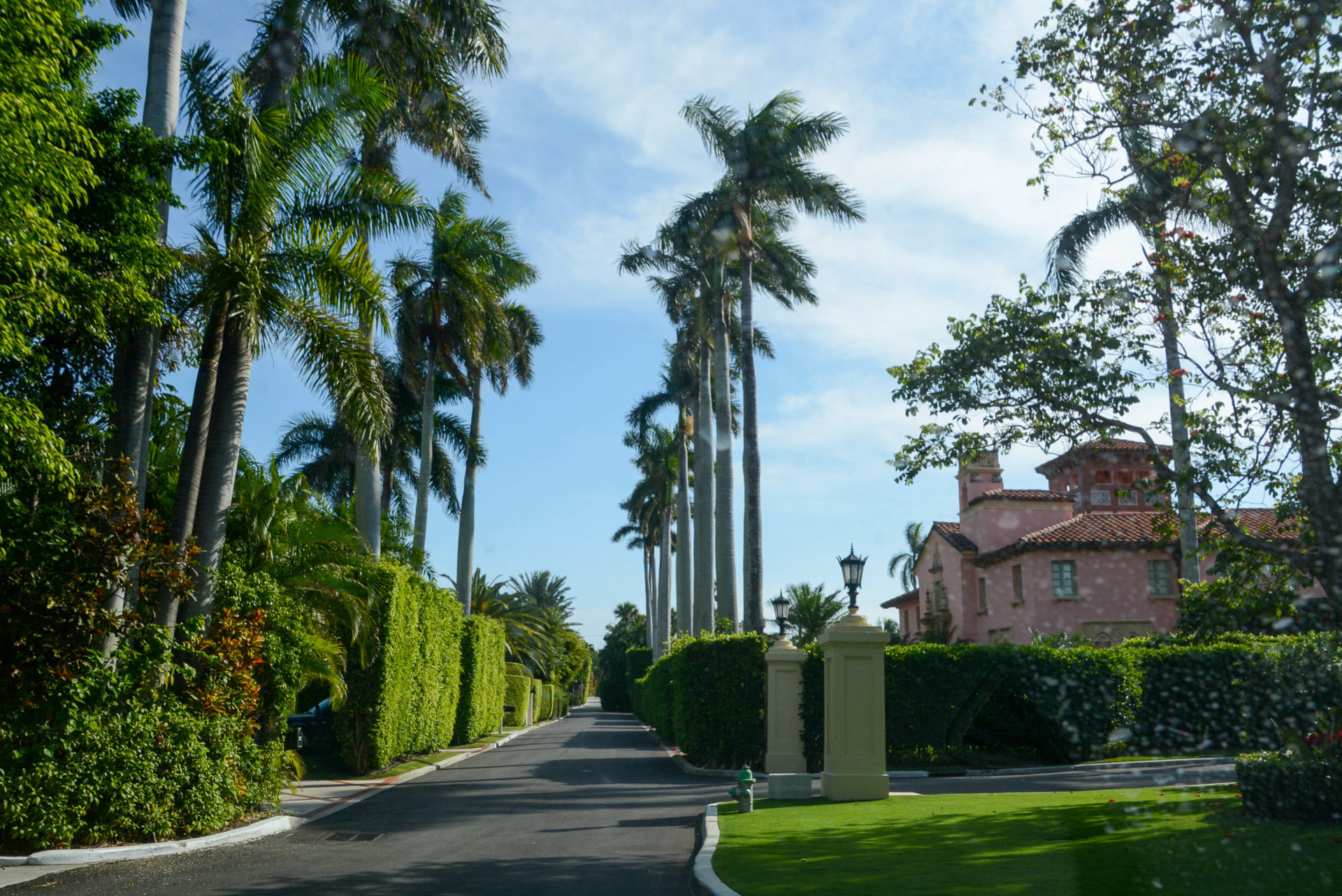 Palmen und Viellen im mediterranean Revival Style in Florida