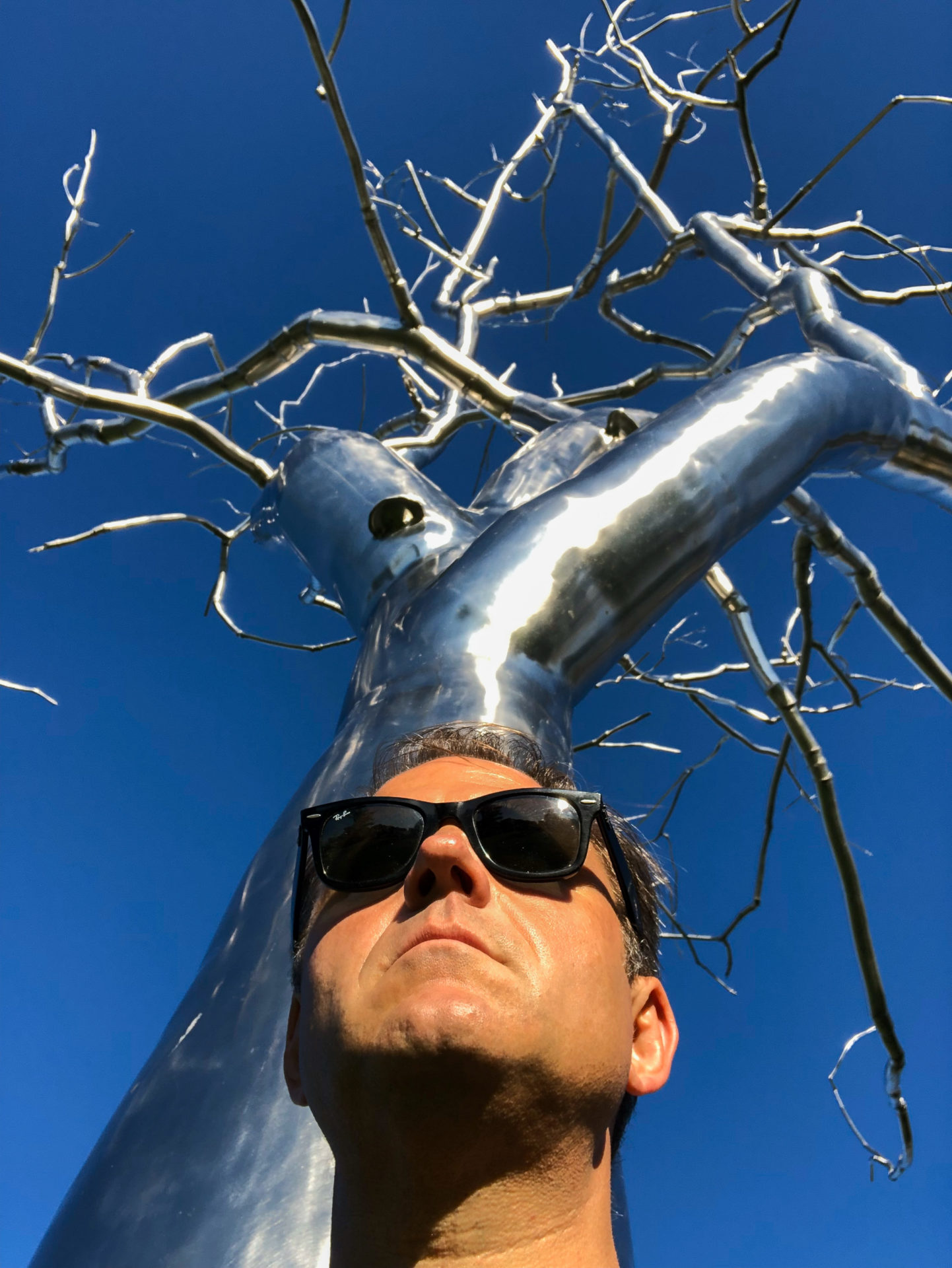 Selfie Ralf Johnen vor Silbernem Baum am Saint Louis Arts Museum