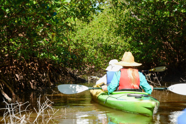 Kanutour durch die Mangroven bei Captiva Island in Florida