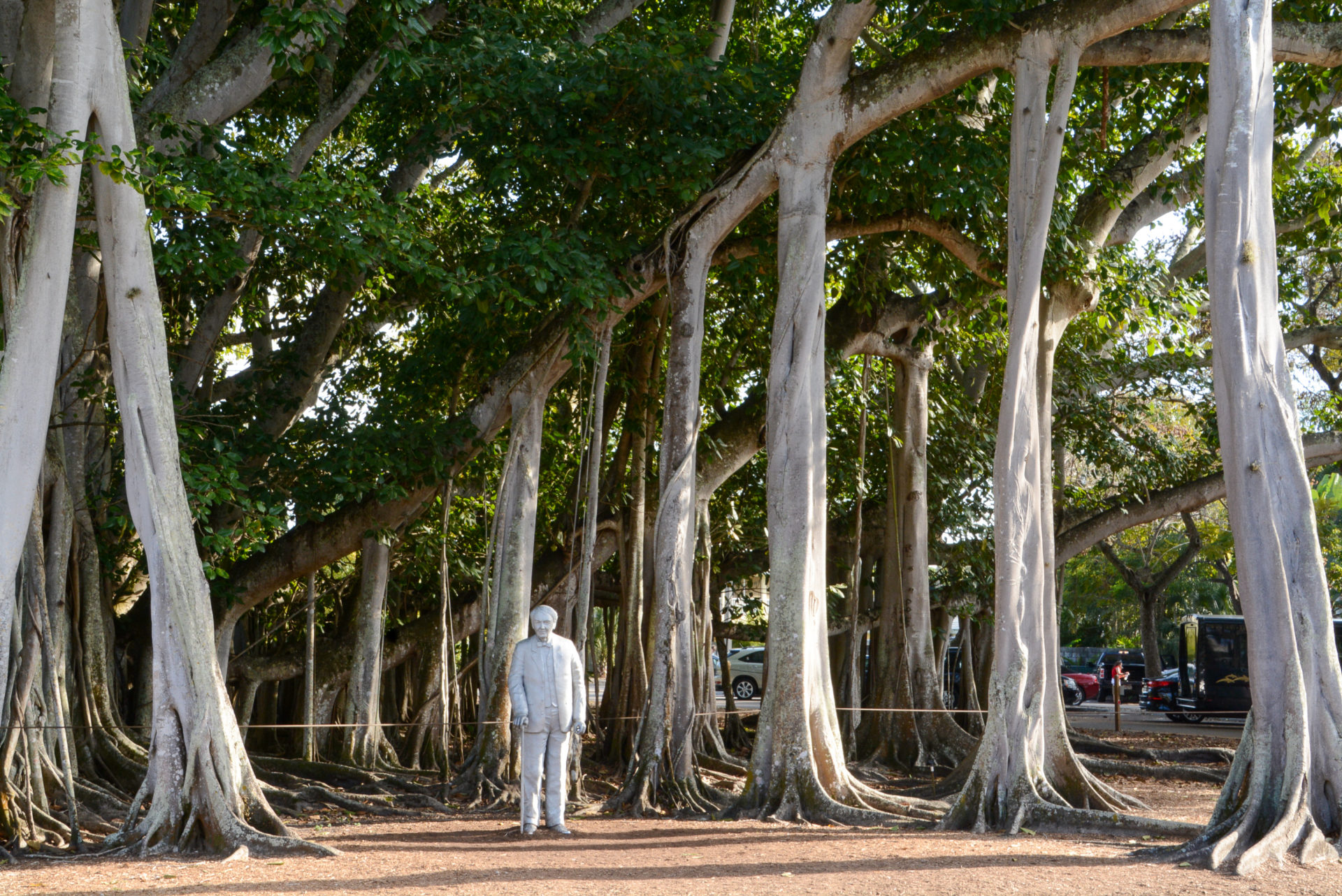 Denkmal für Thomas Edison im Estate in Fort Myers in Florida mit Banyan-Feigen