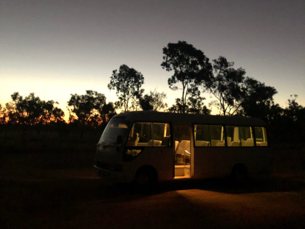Leerer beleuchteter Bus auf einem Raod Trip durch Queensland vor der einbrechenden Dunkelheit und Eukalyptus-Bäumen in Queensland