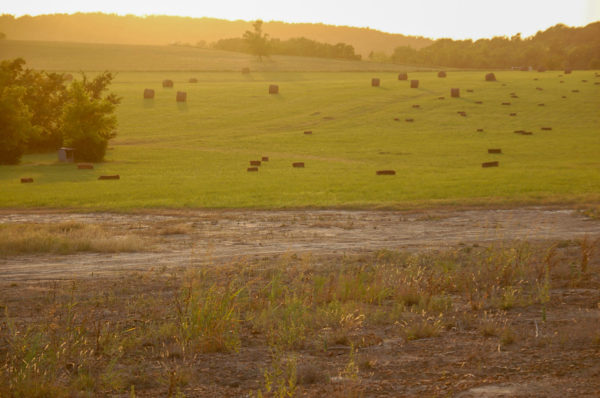 Die grünen Hügel Oklahomas bei der Dude Ranch Meadow Lake an der Route 66