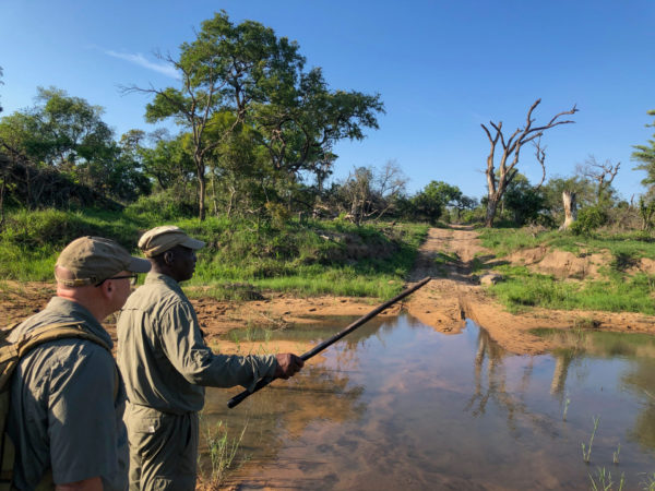 Master Tracker Jonas (l.) und Jonathan bei einer Fußsafari im Greater Kruger Nationalpark