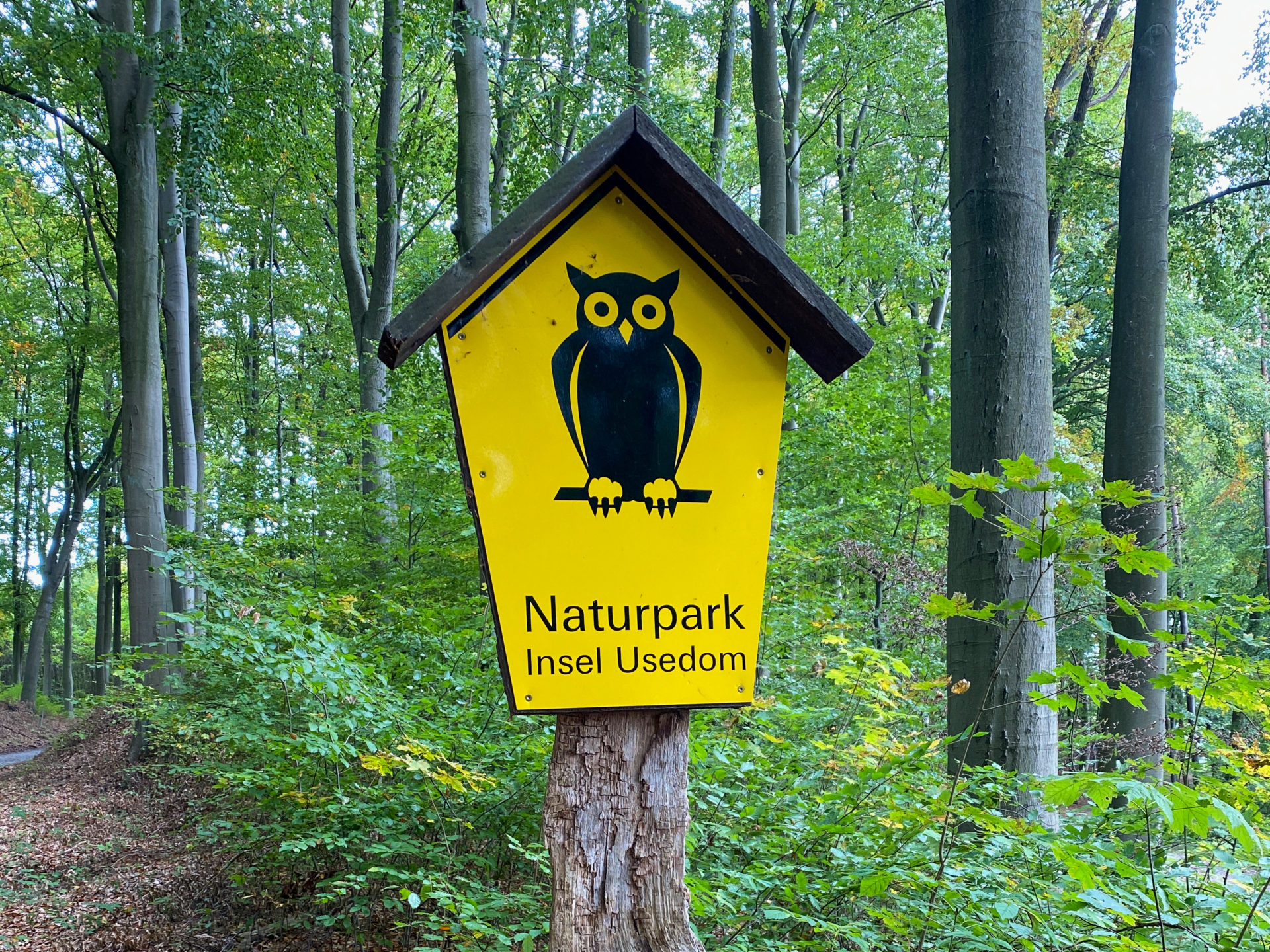 Schild mit Eule im Wald des Naturparks Usedom