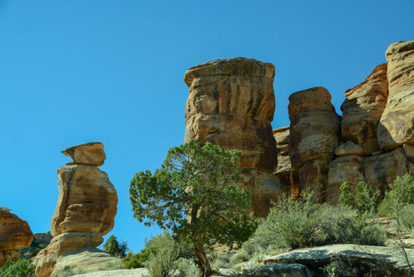 Während der Tour mit dem Wohnmobiltour durch Colorado siehst du tolle Gesteinsformationen
