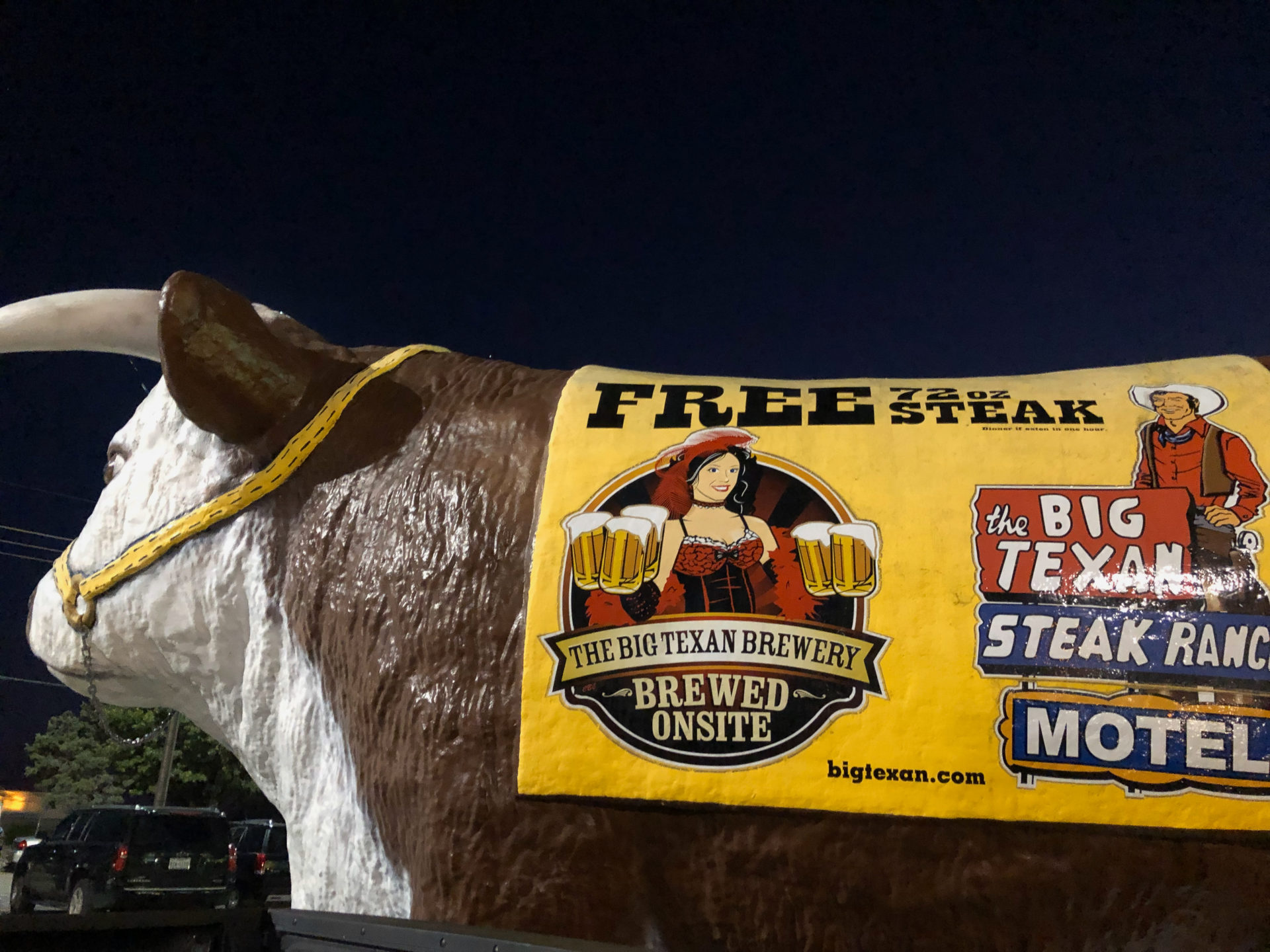 ReklamebotschFt auf dem Rücken einer Kuh vor dem Steakhaus The Big Texan