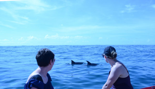 Zwei Frau blicken auf zwei Delfine beim Luxusurlaub in Mosambik