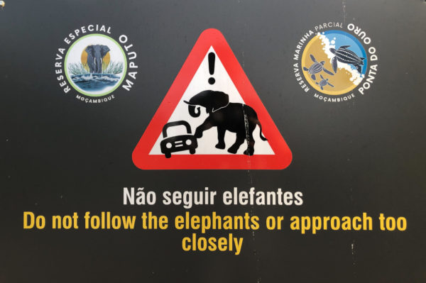 Warnschild vor Elefanten im Maputo Special Reserve in Mosambik