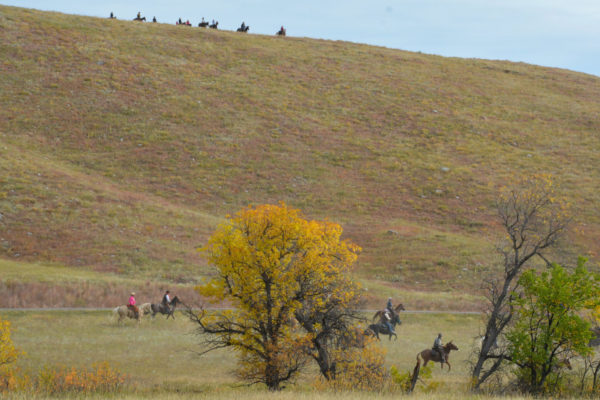 Reiter unter am Hügel und auf einem Hügel im Custer State Park