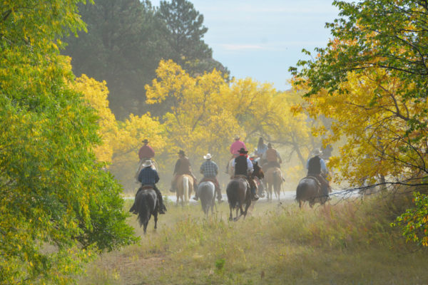Eine Gruppe von Reitern im Herbstlaub im Custer State Park in South Dakota