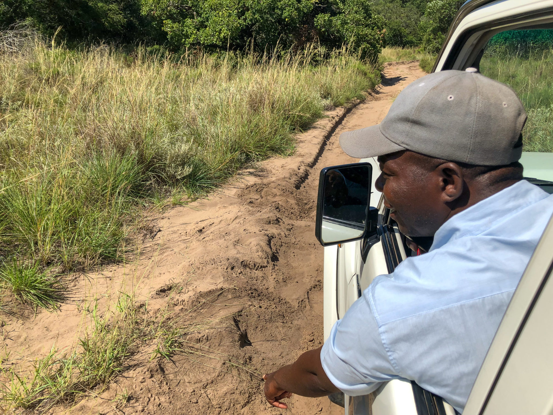 Ranger Wilfred zeit im Maputo Special Reserve auf Tierspuren