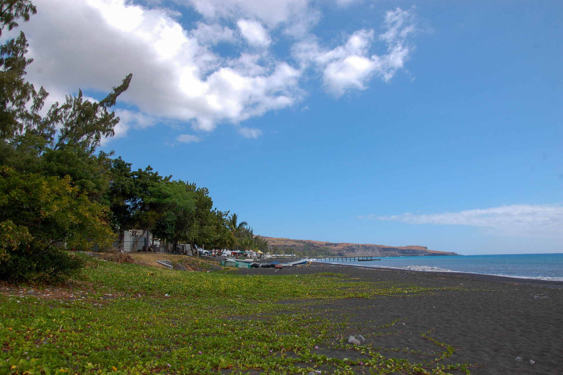 Schwarzer Strand mit grünen Gewächsen auf La Réunion