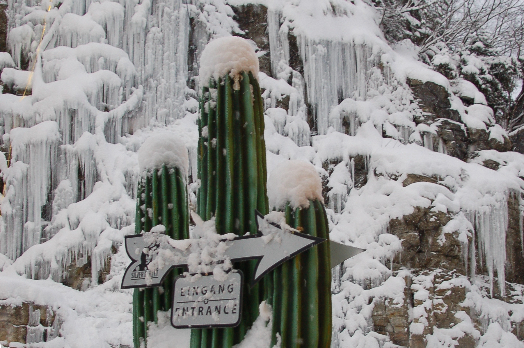 Ein mit Schnee überdeckter Saguaro-Kaktus vor einem gefrorenem Wasserfall im Winter in Gastein