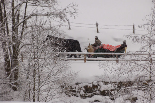 Pferdekutsche im Schnee in Gastein